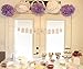 Elephant Baby Shower Decorations 16 pcs White Lavender Grey Purple Tissue Paper Pom Pom Paper Lanterns for Lavender Themed Party Bridal Shower Decor Birthday Decorations