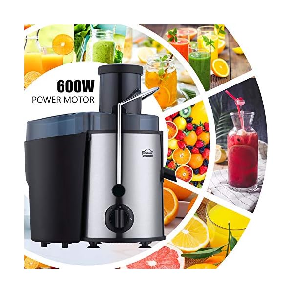 Juicer Machine,DEWINNER Stainless Steel Fruit and Vegetable Juice Extractor Fountain Cold Maker, Centrifugal Fountain with 2 Speed Settings, BPA-Free, Easy Clean Dishwasher Safe with Gift