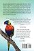 Rainbow Lorikeets, The Complete Owner's Guide on How to Care For Rainbow Lorikeets, Facts on habitat, breeding, lifespan, behavior, diet, cages, talking and suitability as pets