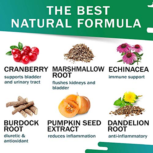 hewbo-UTI-Treatment-for-Cats-and-Dogs-Kidney-Support-for-Pets-Bladder-Urinary-Support-Cranberry-Echinacea-Pumpkin-Feline-Renal-Support-Supplemen-2oz-Made-in-USA