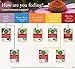 Traditional Medicinals Tea, Herbal Cold Care Seasonal Tea with Elderflower Spice, 96 Tea Bags(Pack of 6)