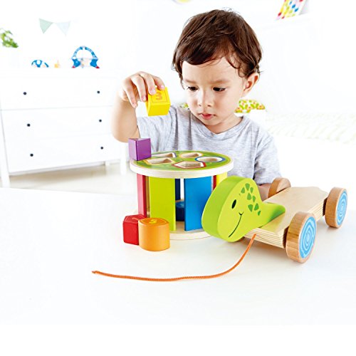 Hape Turtle Shape Sorter Wooden Toys Turtle Wooden Blocks Shape Sorter