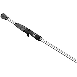 Lew's Team Lew's Signature Series Casting Fishing
