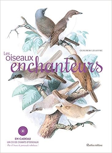 Les Oiseaux Enchanteurs 1cd Audio Amazon Fr Lesaffre Guilhem Livres