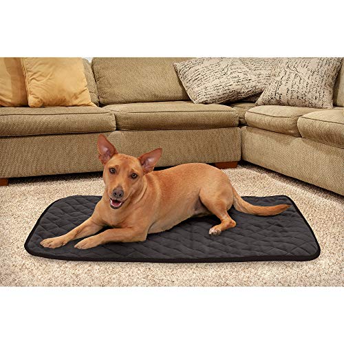 Furhaven ThermaNAP Quilted Velvet SelfWarming Blanket Pet Mat