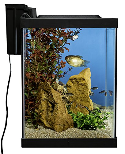 2 Tetra+Aquarium+Gallon+Lighting+Decor