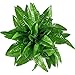 Gtidea 2pcs Artificial Silk Grass Persian Leaves Plants Bridal Home Garden Office Floor Restaurant Wedding Decor Green