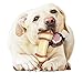 Nylabone Power Chew Rawhide Knot Bone Alternative Nylon Chew Toy for Dogs, Dog Toys for Aggressive Chewers, Beef Flavor, Large/Giant (1 Count)