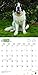 Saint Bernards 2018 Calendar