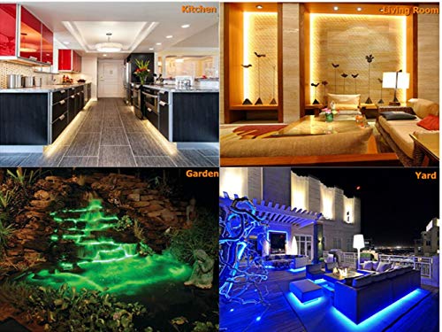 LED Strip Lights with Remote - 32.8 ft Waterproof LEDs Strip Light with Color Changing Music Sync,9 Keys 25 Modes RF Controller,300 Leds Flexible SMD 5050 RGB,Fixing Silicon Clips,12V 5A- UL Standard