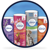 Insert Alt Text Here