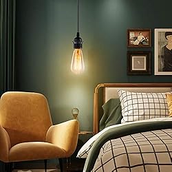 Hanging Lights with Plug in Cord, FadimiKoo Hanging
