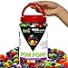 Craftier Crafters Pom Poms 1000 Pcs 16 Colors 5 Sizes in Jar