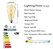 ZYCYLIGHT Led Edison Bulbs,Dimmable 8w Led Bulbs, ST64(ST21) Vintage Edison Antique LED Light Bulbs, 750 Lumens, 2700K Warm White, E26 Led Light Bulbs, Amber Glass Cover,6 Pack