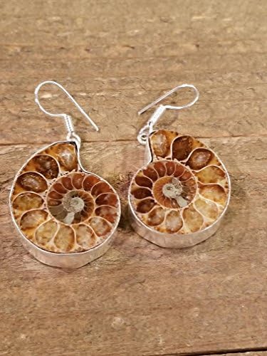 Real Ammonite Fossil Earrings Drop Down Dangle Nature Outdoor Earth Stone Boho Natural Jewelry (E72)