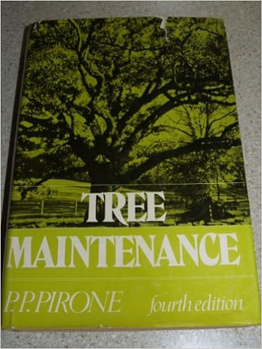 Pirones Tree Maintenance
