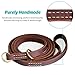 Dog Leash (Black, Medium)