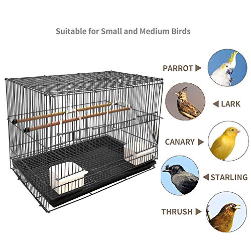 Best Cage For Lovebirds
