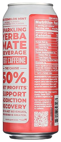CLEAN CAUSE ORGANIC SPARKLING WATERMELON MINT YERBA MATE, 16 FZ