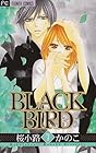 BLACK BIRD 第7巻