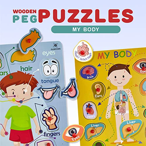 3 Wooden+Peg+Puzzle+Body+Educational