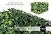 Artificial Hedge - Outdoor Artificial Plant - Great Boxwood and Ivy Substitute - Sound Diffuser Privacy Fence Hedge - Topiary Gardenia Greenery Panels (12, Gardenia)