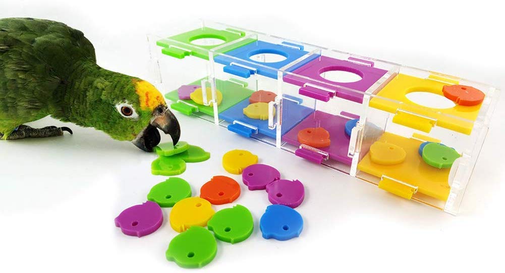 HEEPDD Bird Intelligence Training Toy, Interactive Puzzle Toy with Color Separation Coin Box for Parrot Hamster Hamster Macaw African Grey