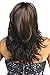 Vivica A. Fox BRIE-V New Futura Fiber, PS Cap Wig in Color FS430, 21 Inch (Pack of 1)