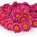 AKORD 100pc Artificial Daisies, Rose, 38mm