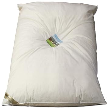 Meivita Ballonbett in 135x200 cm mit 2200 Gramm Füllung aus weißen Gänsedaunen und -Federn (50% Daunen und 50% Federn) Klasse