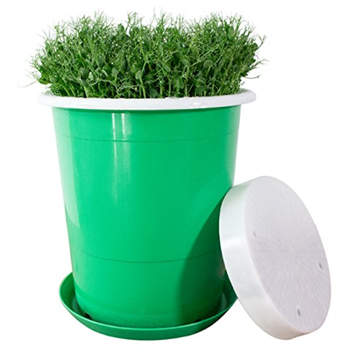 Petforu Bean Sprouts Maker Maifan Stone Sprouting Machine Vegetables Planter Pot (Small)