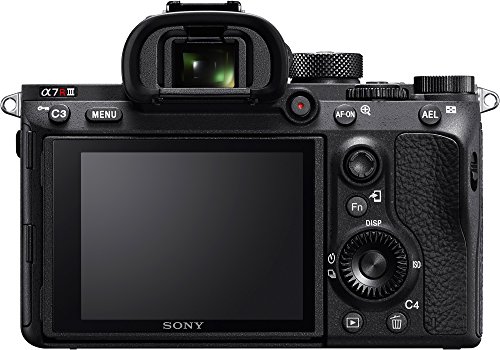 Sony-Alpha-a7RIII-Mirrorless-Digital-Camera-Body-w-Sigma-30mm-f14-Lens