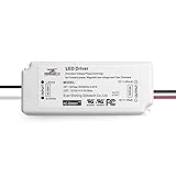 Ironsmith Lighting Products LED Driver with Triac