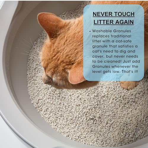 CatGenie A.I. Self-Cleaning Cat Litter Box with App Control, Automatic Self Washing, Flushing and Drying System, Reusable Washable Granules, No Scooping or Litter Replacement