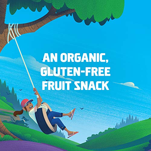 2 CLIF+KID+ZFRUIT+Organic+Fruit