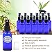 Pack of 12, 1 oz Cobalt Blue Glass Bottles with Black Fine Mist Sprayers by Mavogel,Including 2 Extra Black Fine Mist Sprayers, 2 Stainless Steel Mini Funnel,2 Transfer Pipettes, 12 Bottle Labels