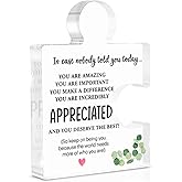 Thank You Gift for Women Men, Positive Affirmations Gifts for Employees Coworkers Colleagues Nurse Social Worker, Appreciation Gifts for Coworkers, You Are Amazing Acrylic Puzzle Plaque Decoration