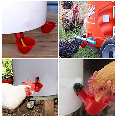 5 Stücke Automatische Kunststoff Chicken Drinker Cups Geflügel Waterer Water Drinking Dispenser Cups Schüsseln Wassertrinker Werkzeug für Vogel Wachtel Taube Huhn Henne(25mm Tube) – Bild 5