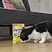 Temptations Classic Treats For Cats Tasty Chicken Flavor 16 Ounces (Pack Of 4)