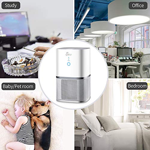 Jese Air Purifier for Allergies and Pets with 4-in-1 HEPA Filter, Mini Desktop Air Purifier Dust Odor Allergens Smoke Eliminator, Air Cleaner for Home, Air Filter for Office, Small Rooms - Thumbnail 5
