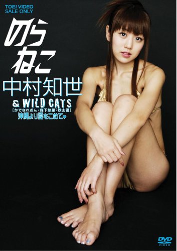 のらねこ 中村知世 & WILD CATS/かでなれおん・森下悠里・秋山優 沖縄より愛をこめて