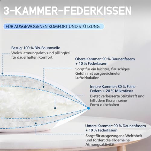 CloudÉtoile Pillow 80 x 80 cm Down Pillow Feather Pillow - Pillow 80 x 80 cm Down and Feathers Bed Pillow in Hotel Quality - 3-Chamber Down Pillow Sleeping Pillow Oeko-Tex Certified - Sleep Like on