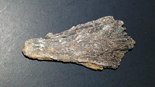 (#2) 1pc of Premium Quality Raw Black Kyanite Blades w/ Mica in Matrix Medium / Large From Brazil 100% Natural Healing Crystal Gemstone Specimen