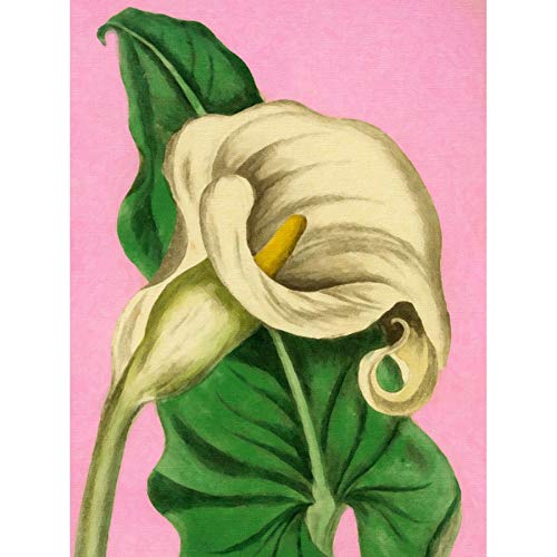 Calla Lily Painting Art Print Canvas Premium Wall Decor Poster