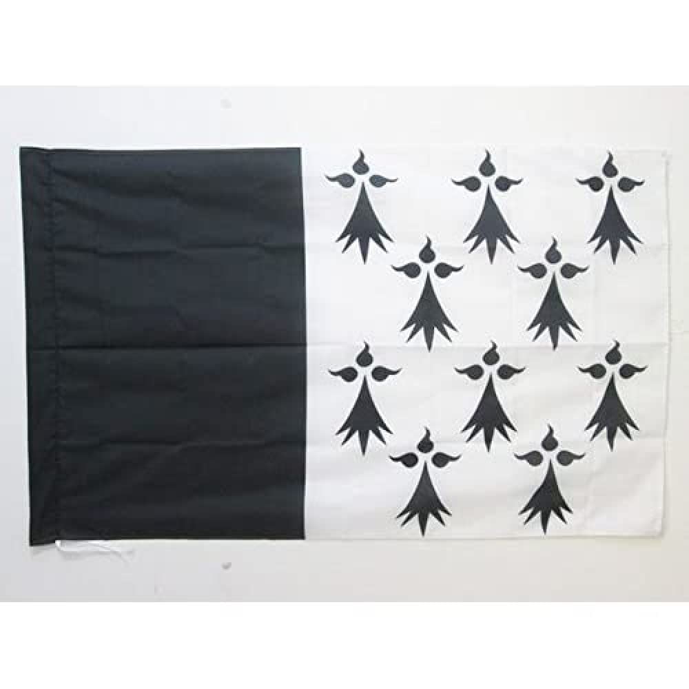 AZ FLAG - Pays rennais Flag - 2x3 Ft - Bro Roazhon Banner with Sleeve - 100% Polyester - Fade Resistant - Vivid Colors - 2' x 3' Feet - 90x60 Cm