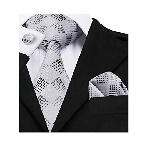 Barry.Wang Mens Ties New Classic Light Grey Plaid Necktie Set