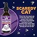 Jackson Galaxy: Scaredy Cat (2 oz.) - Pet Solution - Promotes Sense of Self-Confidence and Reassurance - Perfect for Cats Who Hide and Run from Touch - All-Natural Formula - Reiki Energy