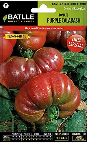 Semillas Hortícolas - Tomate Purple Calabash - Batlle: Amazon.es ...