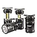 4 Pack Portable Outdoor COB Camping Lantern with LED Torch Flashlight, Water Resistant Collapsible Tent Light with Adjustable Hook for Hiking,Emergencies,Hurricanes,Outages(Batteries Not Included)