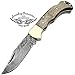 Walnut Wood 6.5'' Custom Handmade Damascus Steel Brass Bloster Back Lock Folding Pocket Knife 100% Prime Quality With Sharpening Rod Plus Real Buffalo Horn Stainless Steel Pocket Knive 